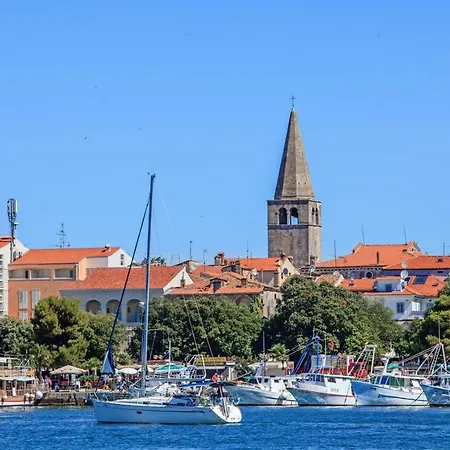 Daire House Puseljic - 3. - A2+1 For Max 3 Pax With Own Tennis Court Poreč
